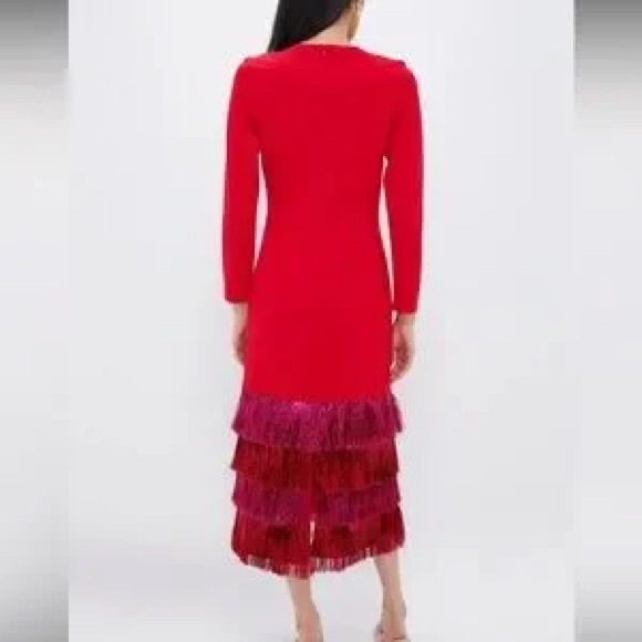 Tuckernuck Hyacinth House Elegant Red and Pink Metallic Fringe Tiered Dress - Picture 3 of 12